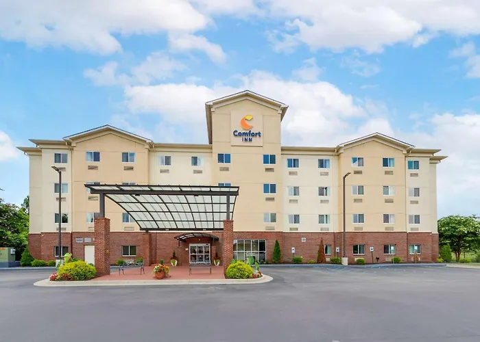 Comfort Inn Near University